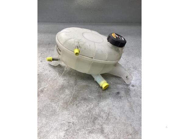 Coolant Expansion Tank HYUNDAI IONIQ (AE)