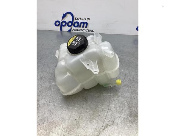 Coolant Expansion Tank VOLVO XC90 II (256)