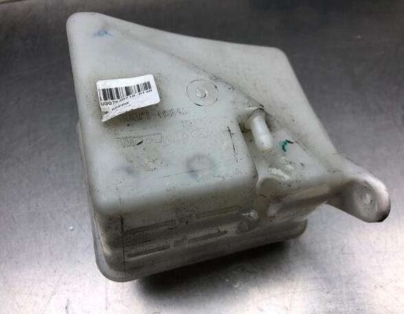 Coolant Expansion Tank HYUNDAI i20 (PB, PBT)