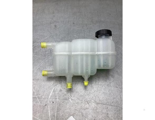 Coolant Expansion Tank HYUNDAI IONIQ (AE)