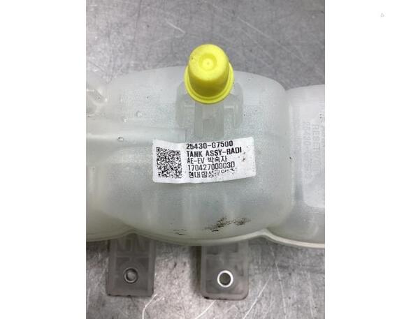 Coolant Expansion Tank HYUNDAI IONIQ (AE)