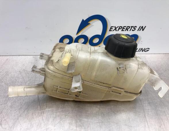 Coolant Expansion Tank RENAULT MEGANE III Grandtour (KZ0/1)