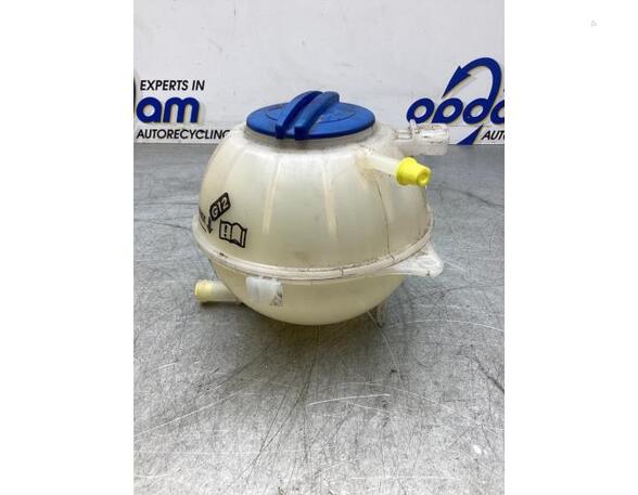 Coolant Expansion Tank VW POLO (6R1, 6C1), VW POLO Van (6R), SKODA FABIA III Estate (NJ5), AUDI A1 Sportback (8XA, 8XF)