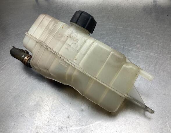 Coolant Expansion Tank RENAULT CLIO III (BR0/1, CR0/1), RENAULT CLIO IV (BH_), RENAULT CLIO II (BB_, CB_)