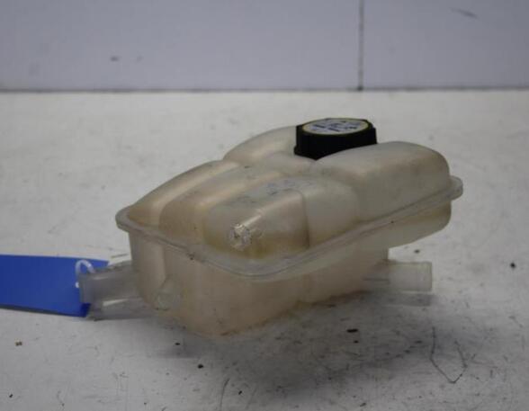 Coolant Expansion Tank FORD TOURNEO CONNECT / GRAND TOURNEO CONNECT V408 MPV