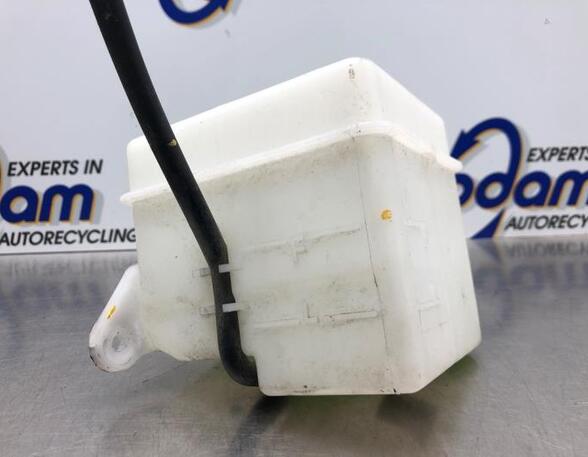 Coolant Expansion Tank HYUNDAI i20 (PB, PBT)