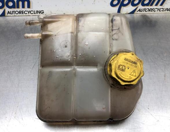 Coolant Expansion Tank FORD TRANSIT CONNECT (P65_, P70_, P80_)