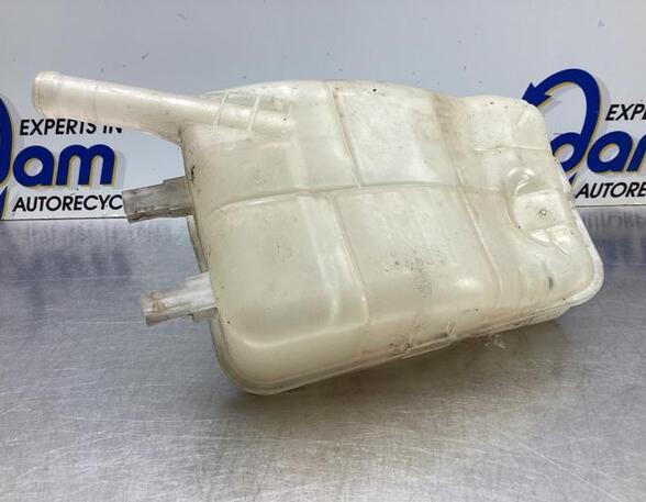 Coolant Expansion Tank RENAULT GRAND SCÉNIC III (JZ0/1_), RENAULT SCÉNIC III (JZ0/1_)