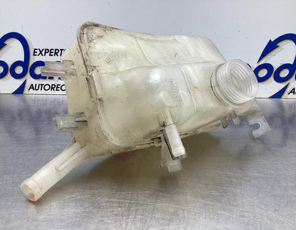 Coolant Expansion Tank RENAULT GRAND SCÉNIC III (JZ0/1_), RENAULT SCÉNIC III (JZ0/1_)