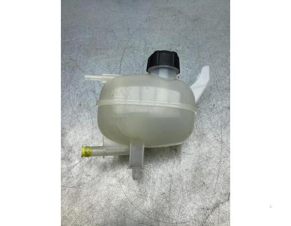 Coolant Expansion Tank NISSAN MICRA V (K14)