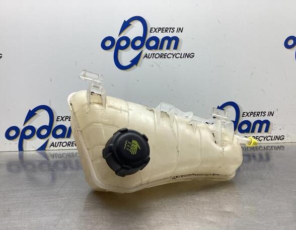 Coolant Expansion Tank RENAULT KANGOO Express (FW0/1_), MERCEDES-BENZ CITAN Box Body/MPV (W415)