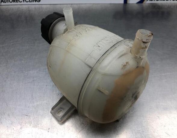 Coolant Expansion Tank DACIA DUSTER (HS_), DACIA DUSTER SUV Van, DACIA SANDERO, DACIA LODGY (JS_)