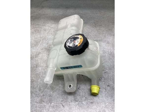 Coolant Expansion Tank KIA NIRO I (DE)