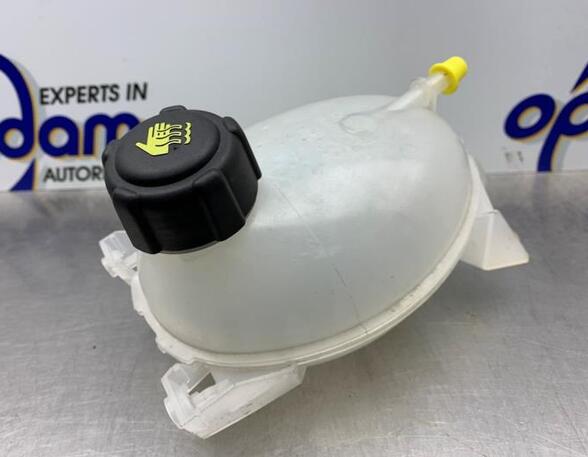 Coolant Expansion Tank RENAULT CAPTUR I (J5_, H5_)