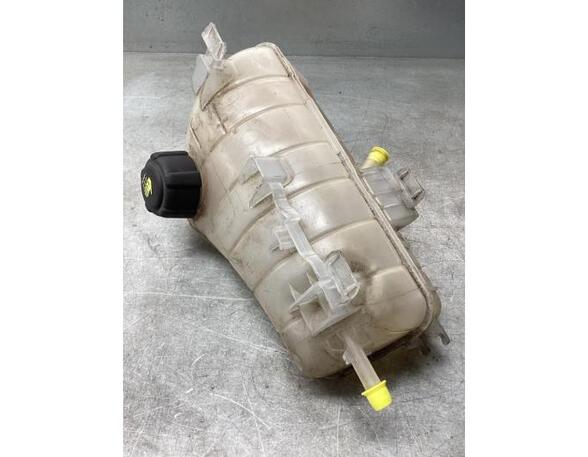 Coolant Expansion Tank MERCEDES-BENZ CITAN Box Body/MPV (W415), RENAULT KANGOO Express (FW0/1_)