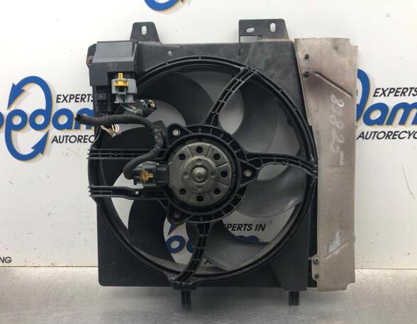 Radiator Electric Fan  Motor PEUGEOT 207 (WA_, WC_)