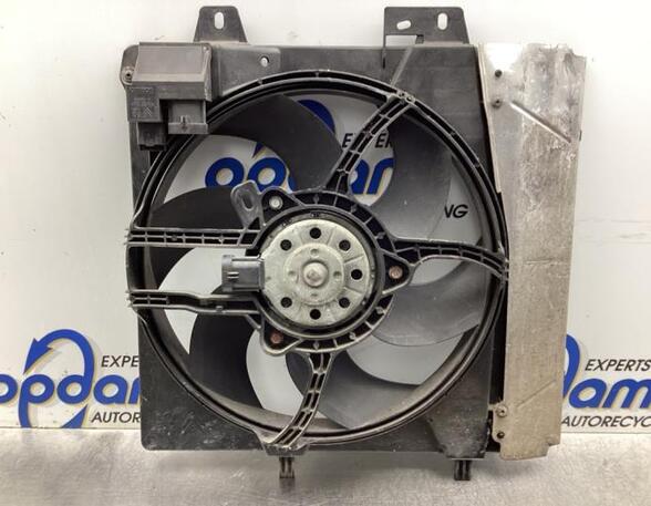 Radiator Electric Fan  Motor PEUGEOT 207 (WA_, WC_)