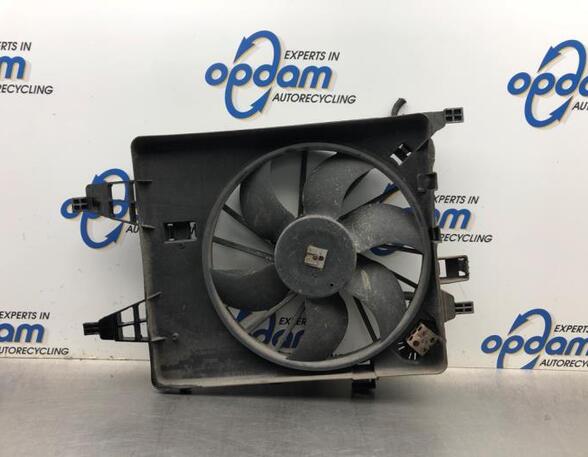 Radiator Electric Fan  Motor RENAULT KANGOO Express (FW0/1_)