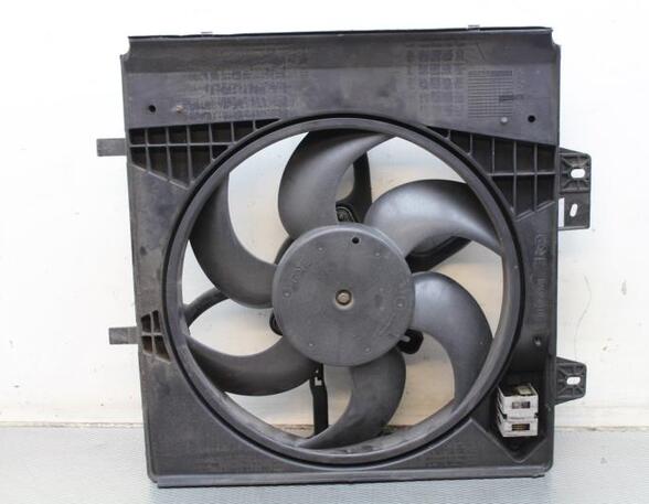 Radiator Electric Fan  Motor PEUGEOT 207 (WA_, WC_)