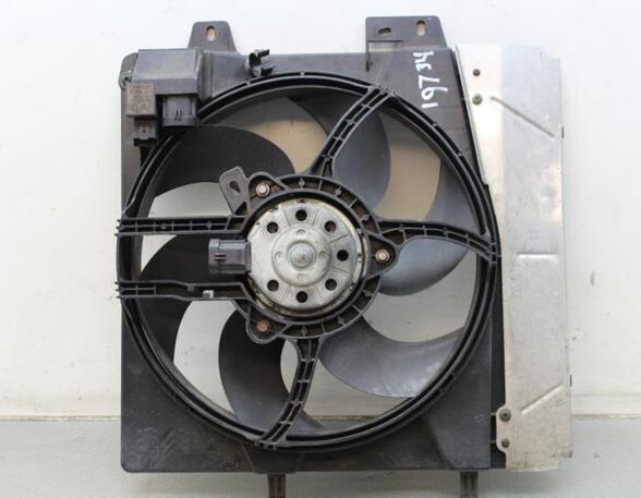 Radiator Electric Fan  Motor PEUGEOT 207 (WA_, WC_)