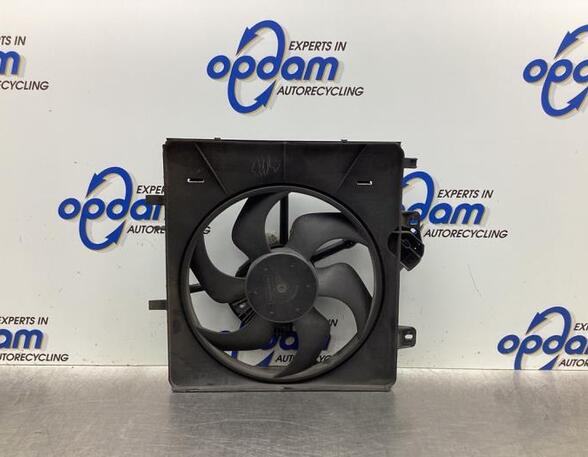 Radiator Electric Fan  Motor CITROËN C3 I (FC_, FN_)