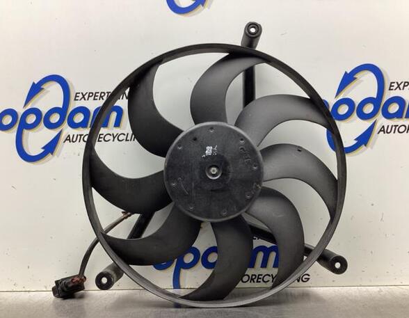 Radiator Electric Fan  Motor SKODA FABIA II (542)