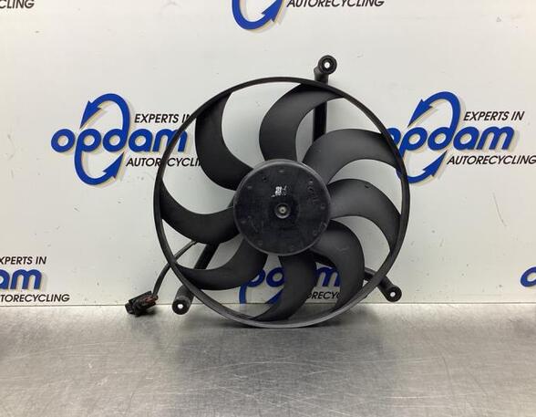 Radiator Electric Fan  Motor SKODA FABIA II (542)