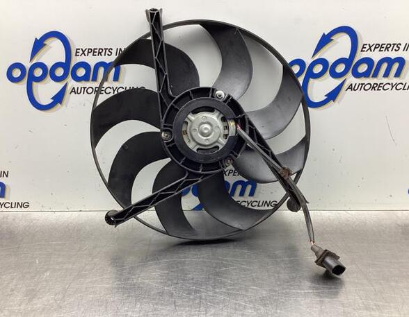 Radiator Electric Fan  Motor SKODA FABIA II (542)