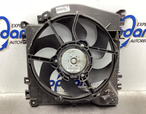 Radiator Electric Fan  Motor RENAULT CLIO III (BR0/1, CR0/1)