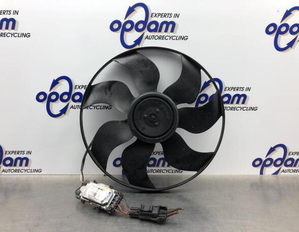 Radiator Electric Fan  Motor MERCEDES-BENZ C-CLASS (W204)