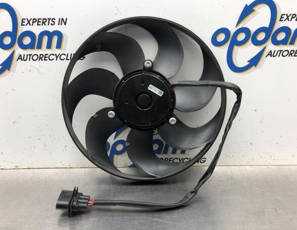 Radiator Electric Fan  Motor VW POLO (AW1, BZ1)