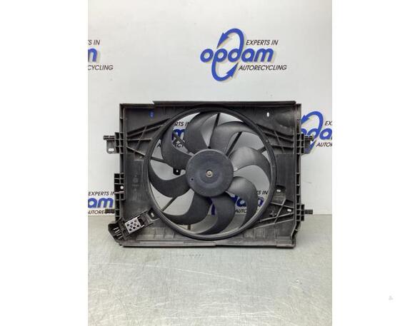 Radiator Electric Fan  Motor DACIA DOKKER MPV (KE_), DACIA LODGY (JS_)