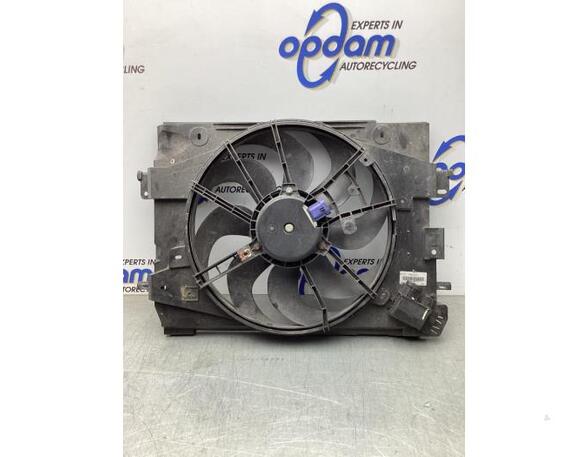 Radiator Electric Fan  Motor DACIA DOKKER MPV (KE_), DACIA LODGY (JS_)