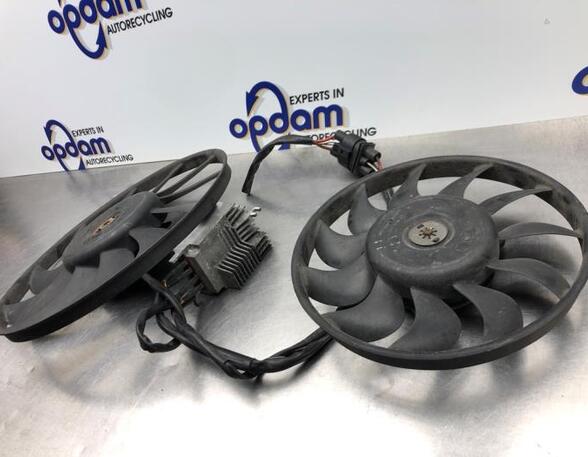 Radiator Electric Fan  Motor AUDI A6 (4F2, C6)