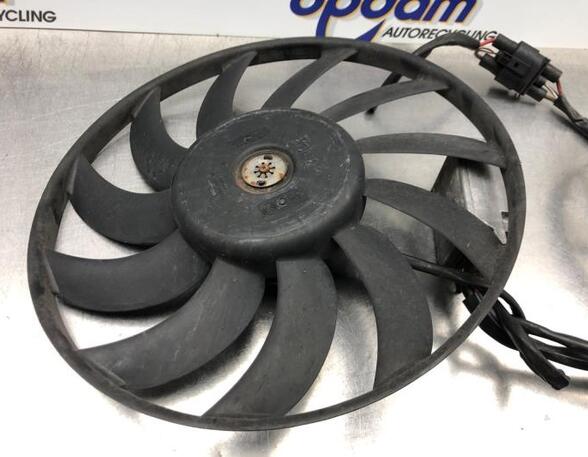 Radiator Electric Fan  Motor AUDI A6 (4F2, C6)