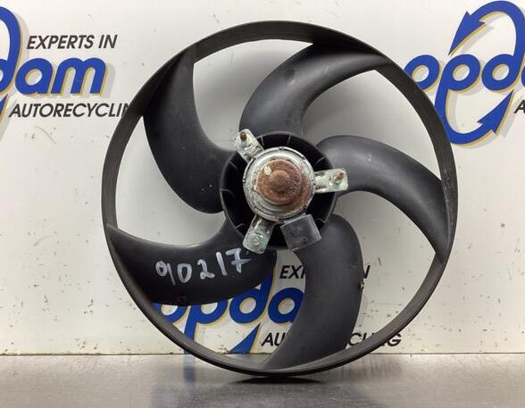 Radiator Electric Fan  Motor PEUGEOT 206 Hatchback (2A/C)