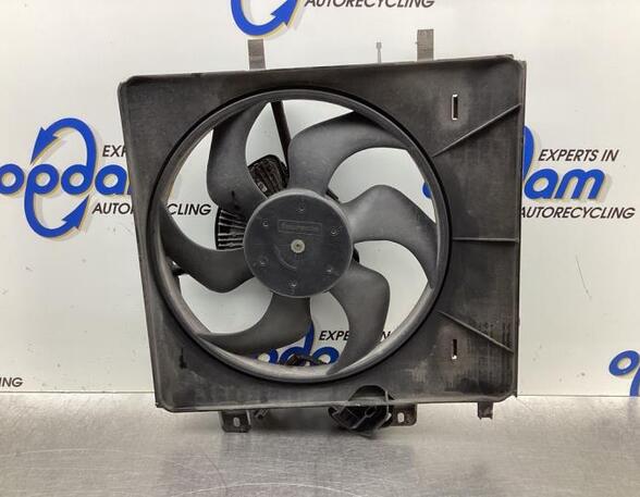 Radiator Electric Fan  Motor CITROËN C3 I (FC_, FN_)