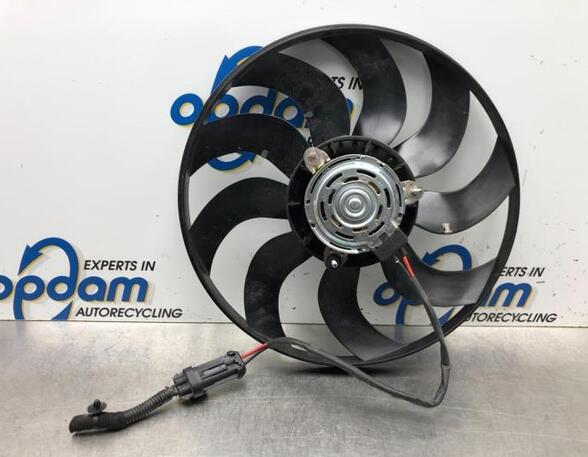 Radiator Electric Fan  Motor FIAT PANDA (312_, 319_)