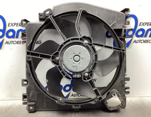 Radiator Electric Fan  Motor RENAULT CLIO III (BR0/1, CR0/1), RENAULT CLIO IV (BH_)