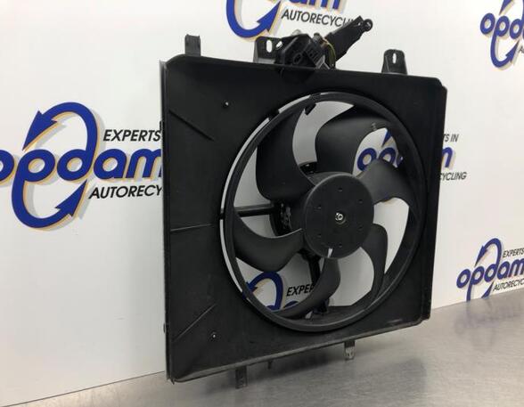 Radiator Electric Fan  Motor CITROËN C2 (JM_)