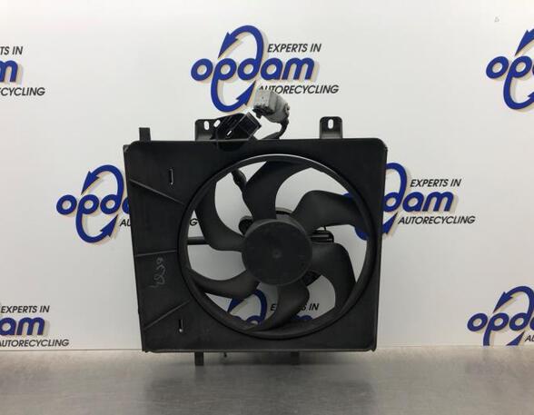 Radiator Electric Fan  Motor CITROËN C2 (JM_)