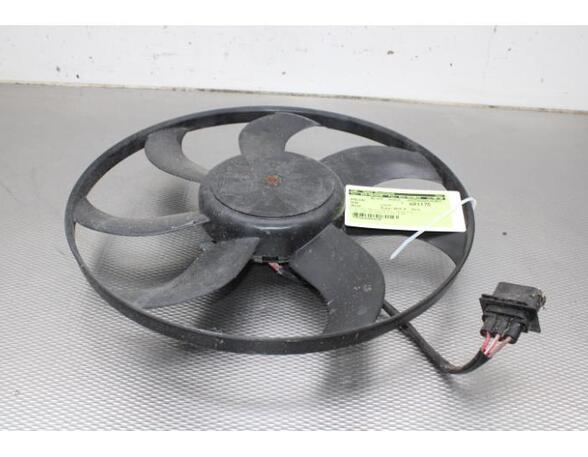 Radiator Electric Fan  Motor SEAT IBIZA IV ST (6J8, 6P8)