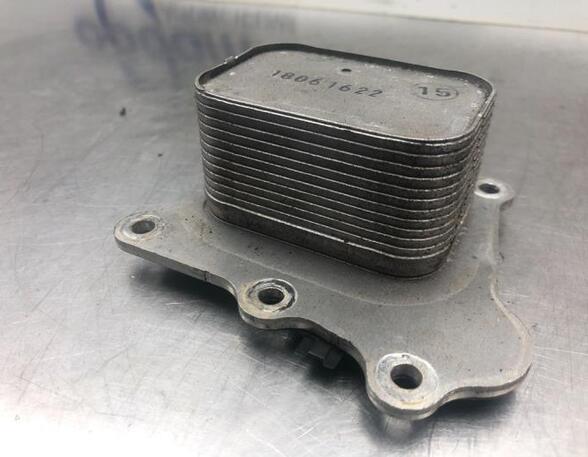 Oil Cooler SUZUKI SWIFT V (AZ)