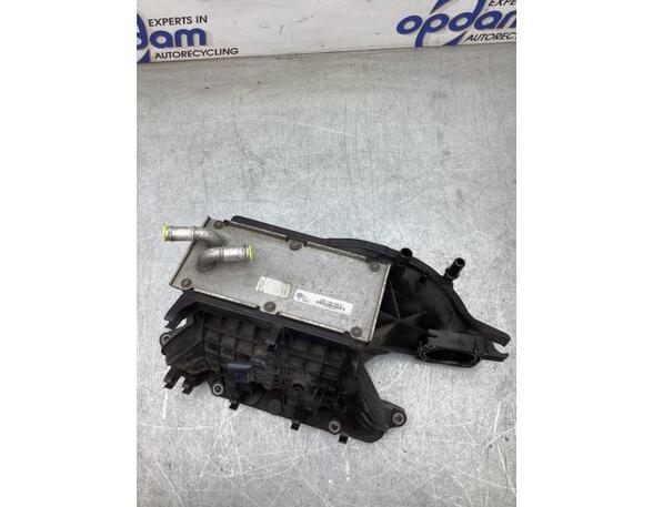 Intake Manifold VW GOLF V (1K1), VW GOLF VI (5K1), VW GOLF VAN VI Variant (AJ5), VW GOLF VI Van (5K1_)