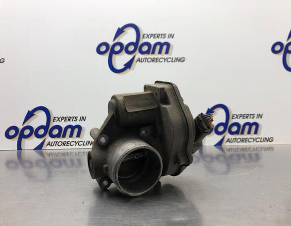 Throttle Body FORD FOCUS C-MAX (DM2), FORD C-MAX (DM2)