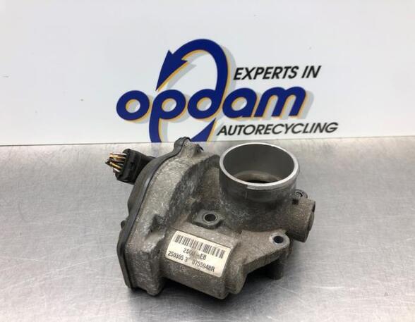 Throttle Body FORD FOCUS C-MAX (DM2), FORD C-MAX (DM2)