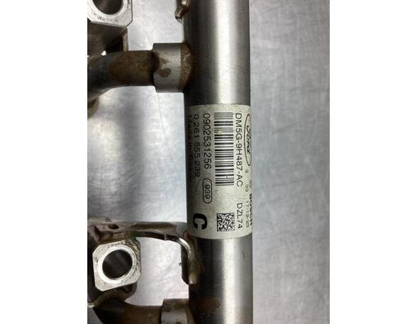 Petrol Fuel Rail FORD FIESTA VII (HJ, HF)