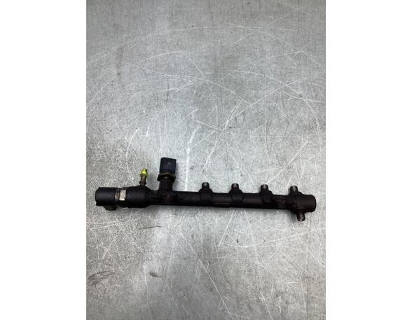 Petrol Fuel Rail FORD TOURNEO CUSTOM V362 Bus (F3), FORD TRANSIT CUSTOM V362 Bus (F3)