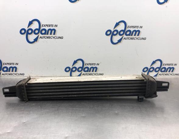 Intercooler FIAT FIORINO Box Body/MPV (225_), FIAT QUBO (225_)