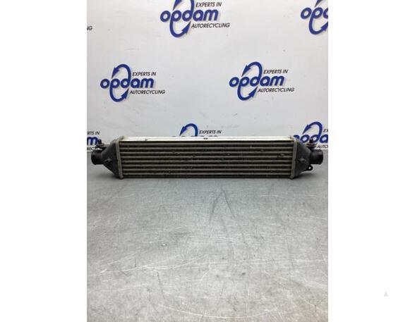 Intercooler FIAT DOBLO Cargo (263_), FIAT DOBLO MPV (263_)